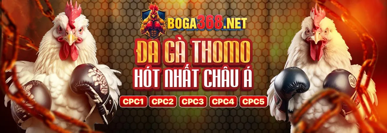 Hình ảnh sân vận động sôi động với logo bigboss ios, biểu tượng của nền tảng cá cược thể thao hàng đầu.